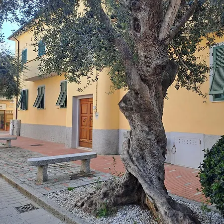 I Due Ulivi Lägenhet Marina di Campo